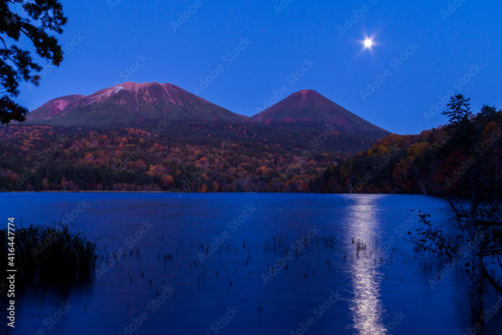 月明り